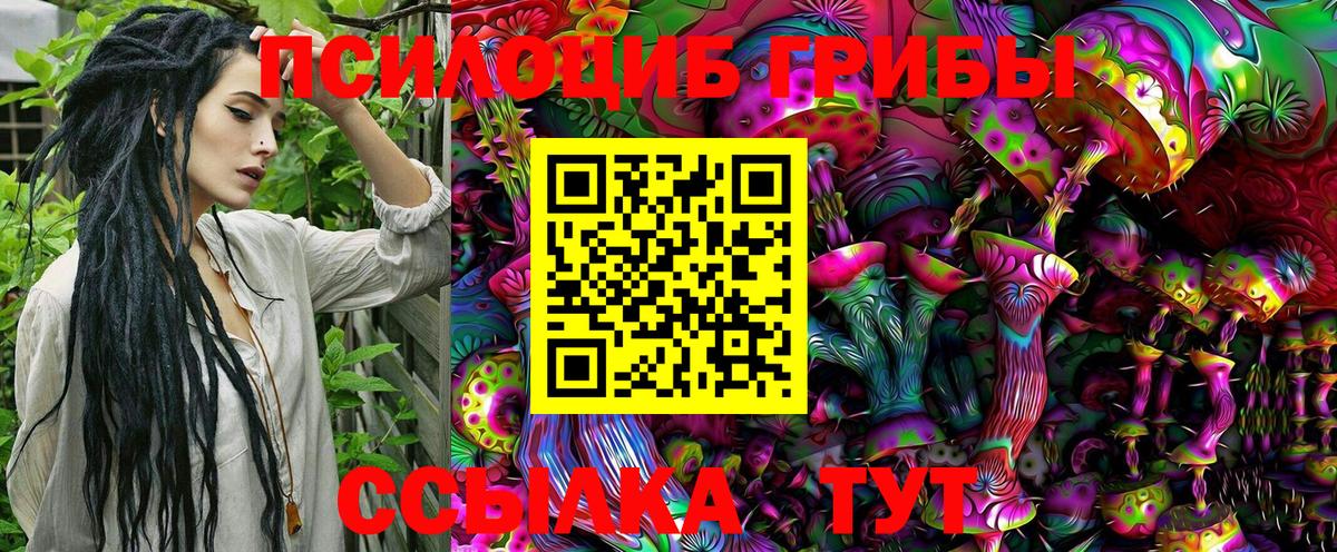 Псилоцибиновые грибы Psilocybine cubensis  Псилоцибиновые грибы мицелий  Вход с VPN  Киров 